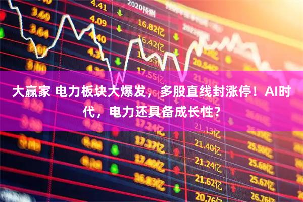 大赢家 电力板块大爆发，多股直线封涨停！AI时代，电力还具备成长性？