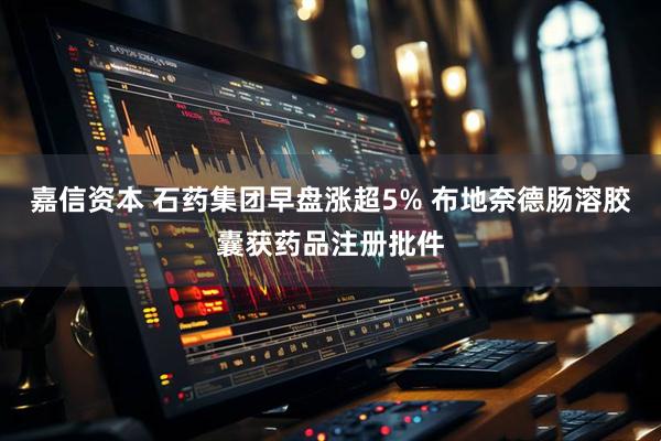 嘉信资本 石药集团早盘涨超5% 布地奈德肠溶胶囊获药品注册批件