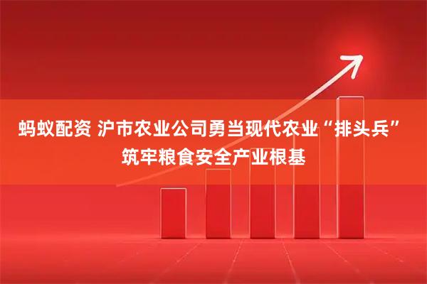 蚂蚁配资 沪市农业公司勇当现代农业“排头兵” 筑牢粮食安全产业根基