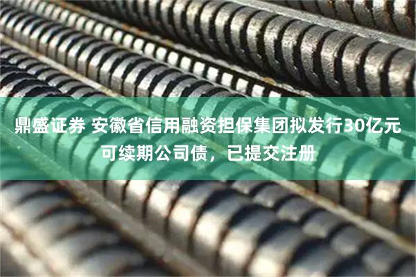 鼎盛证券 安徽省信用融资担保集团拟发行30亿元可续期公司债，已提交注册