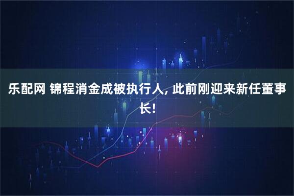 乐配网 锦程消金成被执行人, 此前刚迎来新任董事长!